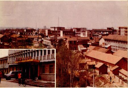 《草埠湖农场志》.pdf电子版_湖北省志插图3 《草埠湖农场志》.pdf电子版_湖北省志插图3