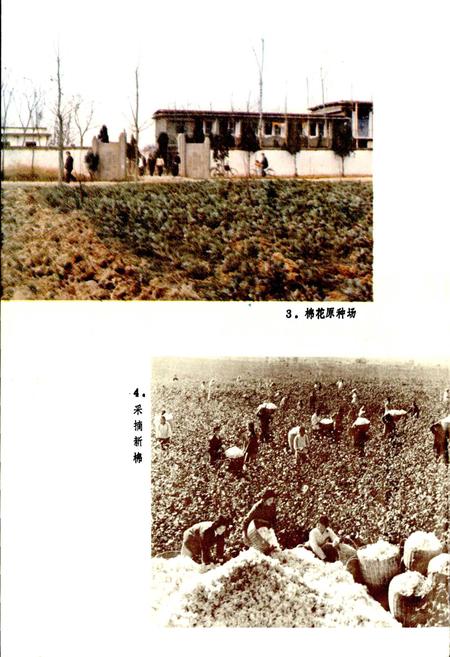 《草埠湖农场志》.pdf电子版_湖北省志插图4 《草埠湖农场志》.pdf电子版_湖北省志插图4
