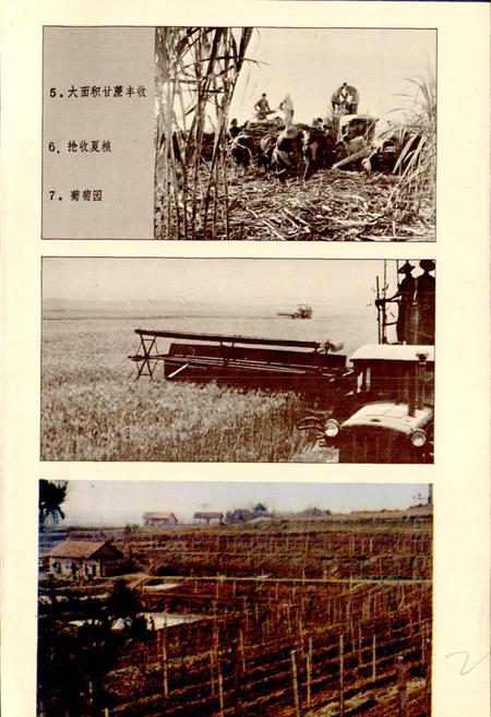 《草埠湖农场志》.pdf电子版_湖北省志插图5 《草埠湖农场志》.pdf电子版_湖北省志插图5