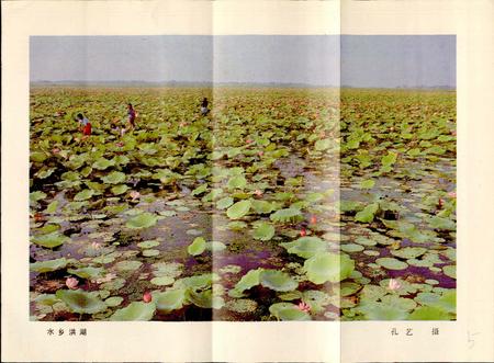 《洪湖县水产志》.pdf电子版_湖北省志插图5