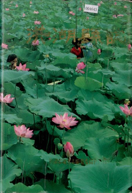 《洪湖县志》.pdf电子版_湖北省志