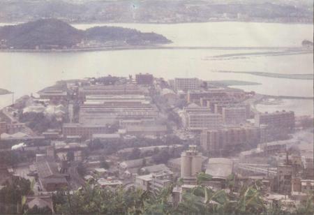 《黄石锻压机床厂志》.pdf电子版_湖北省志插图3
