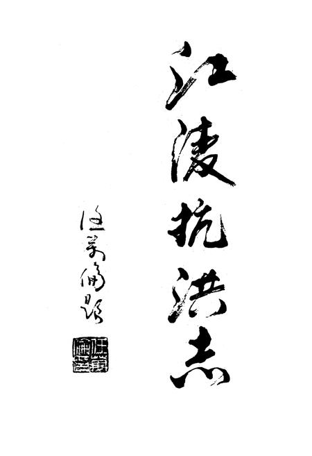 《98江陵抗洪志》.pdf电子版_湖北省志插图1