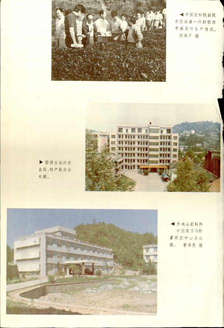 《鄂西农特志》.pdf电子版_湖北省志插图5