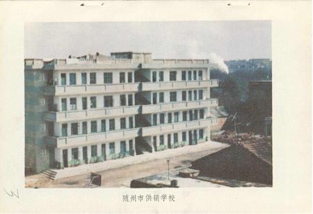 《随州市供销合作社志》.pdf电子版_湖北省志插图4