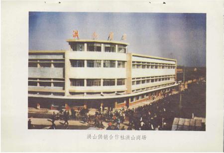《随州市供销合作社志》.pdf电子版_湖北省志插图5