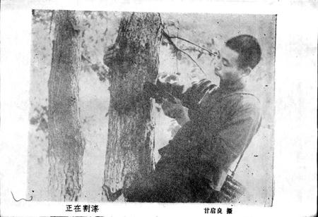 《湖北省竹溪县地名志》.pdf电子版_湖北省志插图5
