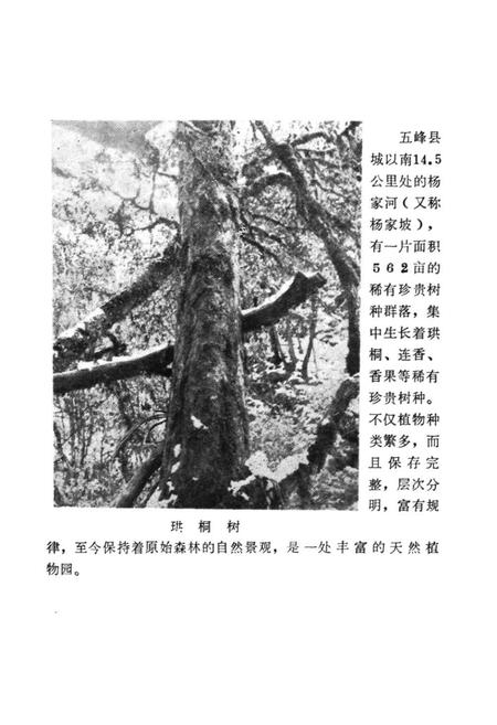 《湖北省五峰县地名志》.pdf电子版_湖北省志插图5