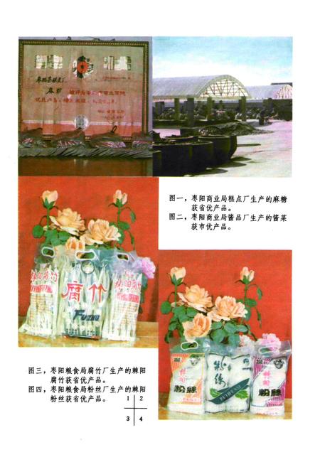 《枣阳财政金融贸易志》.pdf电子版_湖北省志插图5