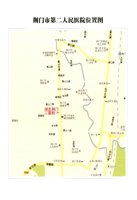 《荆门市第二人民医院志》.pdf电子版_湖北省志插图3