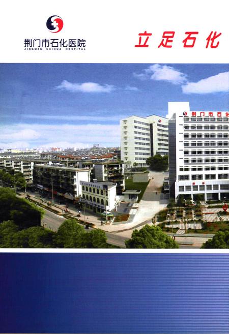 《荆门石化医院院志(1951-2006)》.pdf电子版_湖北省志插图2