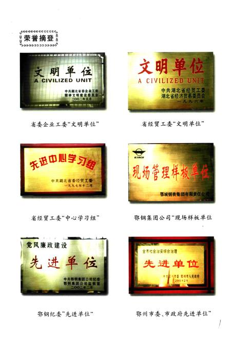 《《鄂钢焦化厂志(1995-2001)》》.pdf电子版_湖北省志插图2