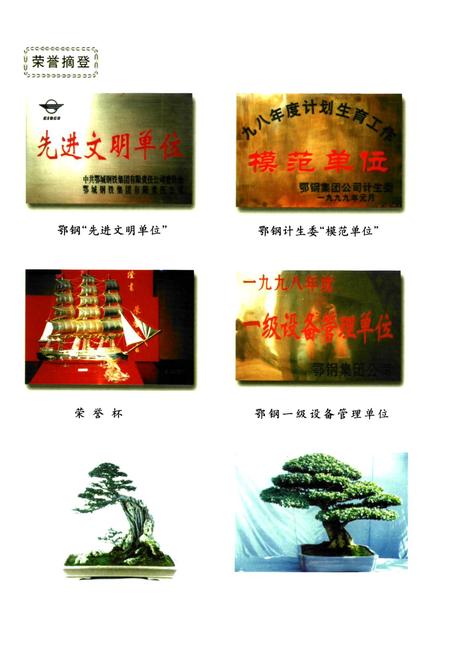 《《鄂钢焦化厂志(1995-2001)》》.pdf电子版_湖北省志插图3