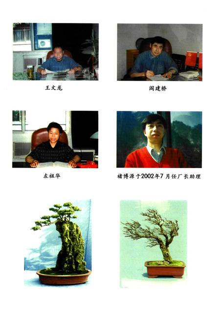 《《鄂钢焦化厂志(1995-2001)》》.pdf电子版_湖北省志插图5