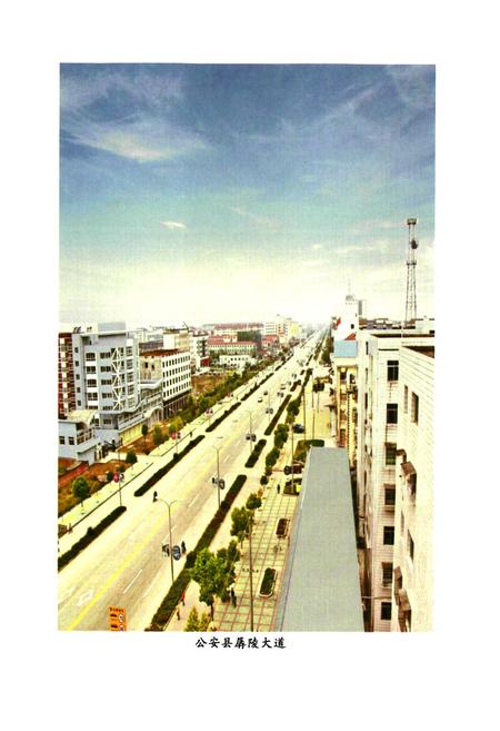 《公安县财政志(1991-2005)》.pdf电子版_湖北省志插图3 《公安县财政志(1991-2005)》.pdf电子版_湖北省志插图3