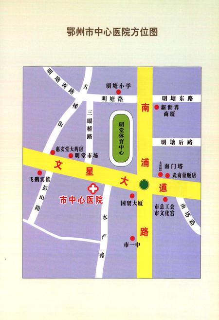 《鄂州市中心医院志(1946-2006)》.pdf电子版_湖北省志插图4