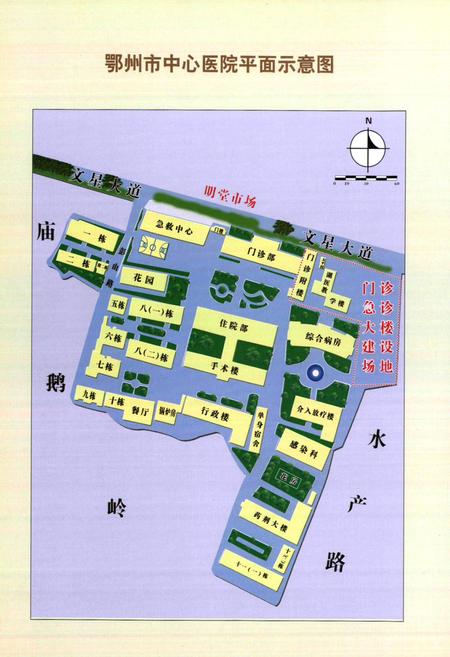 《鄂州市中心医院志(1946-2006)》.pdf电子版_湖北省志插图5