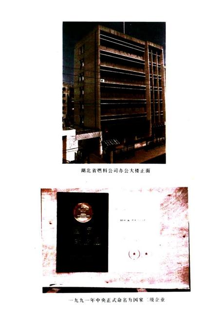 《《湖北省燃料公司志》》.pdf电子版_湖北省志插图2