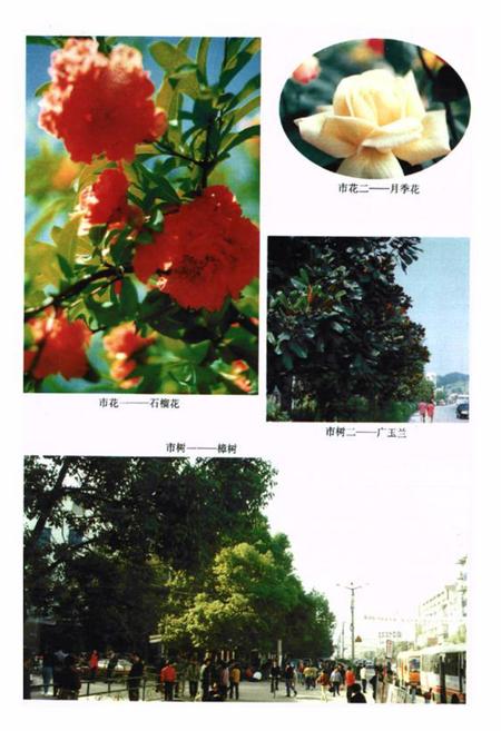 《《十堰市建设志》》.pdf电子版_湖北省志插图4