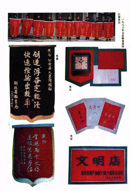 《《公安县粮食志》》.pdf电子版_湖北省志插图4