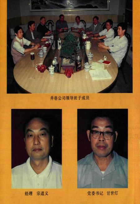 《大冶有色井巷公司志(1963-1993)》.pdf电子版_湖北省志插图4