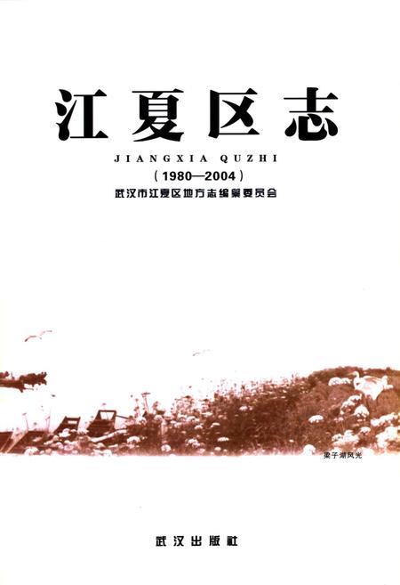 《江夏区志(1980-2004)》.pdf电子版_湖北省志插图1