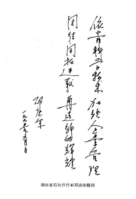 《《鄂钢焦化分厂志(1970-1994)》》.pdf电子版_湖北省志插图3