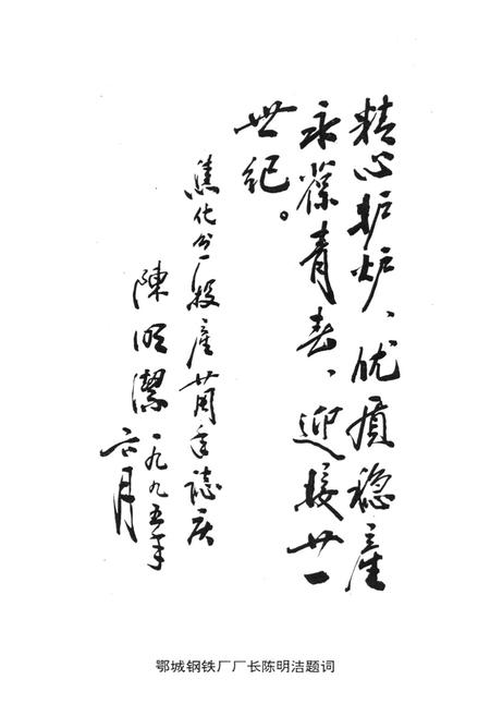 《《鄂钢焦化分厂志(1970-1994)》》.pdf电子版_湖北省志插图5