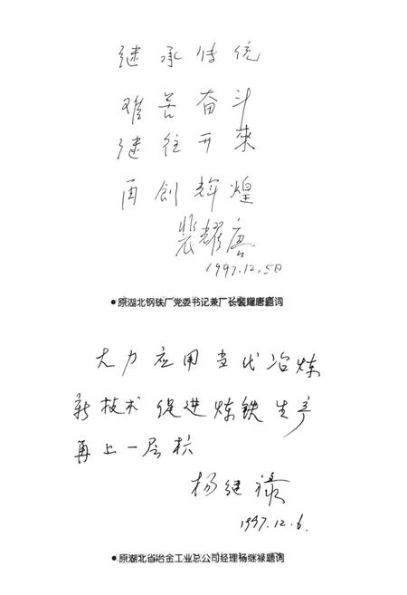 《《炼铁分厂志(1958-1998)》》.pdf电子版_湖北省志插图5