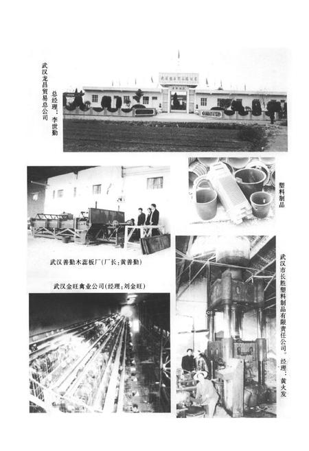 《《三店镇志》》.pdf电子版_湖北省志插图5
