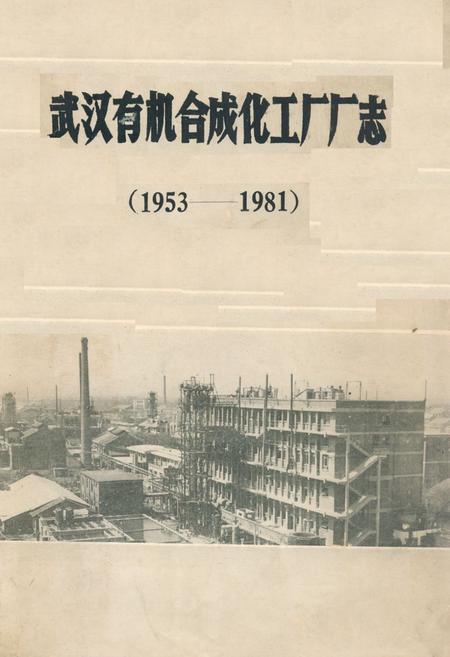 《《武汉有机合成化工厂厂志》(1953-1981)》.pdf电子版_湖北省志