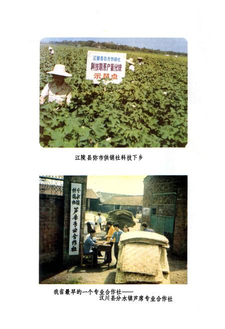 《湖北省供销合作社志》.pdf电子版_湖北省志插图4