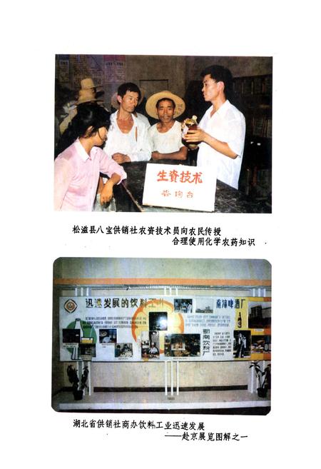 《湖北省供销合作社志》.pdf电子版_湖北省志插图5