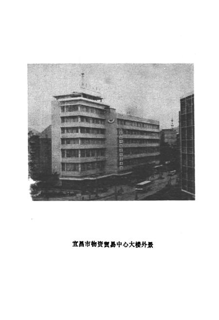 《宜昌市物资贸易中心站》.pdf电子版_湖北省志插图4