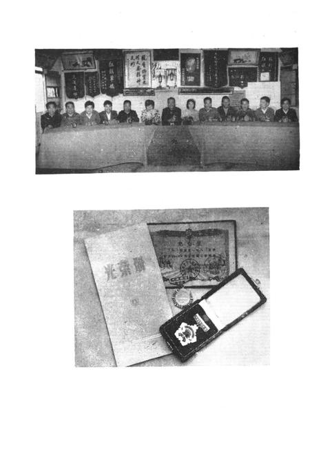 《农科村简志》.pdf电子版_湖北省志插图5