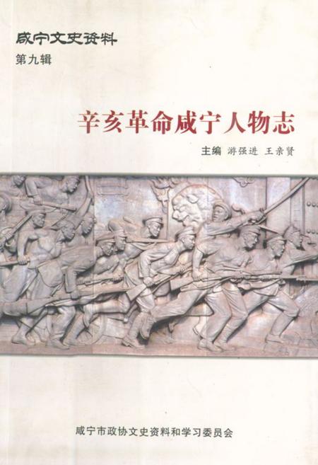 《辛亥革命咸宁人物志》.pdf电子版_湖北省志插图
