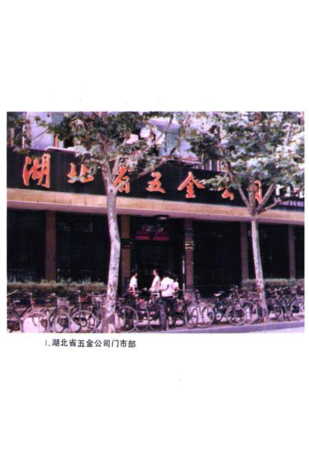 《湖北省商业简志(第四册)·五金商业志》.pdf电子版_湖北省志插图2