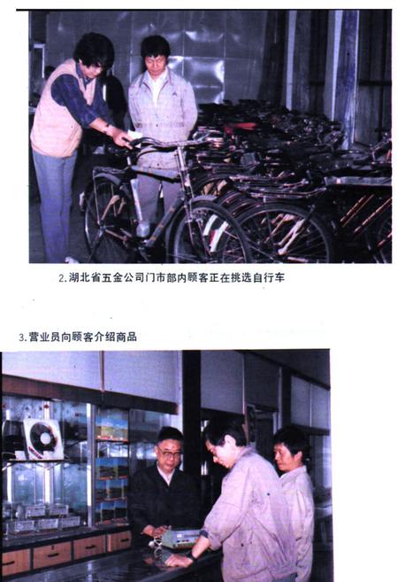 《湖北省商业简志(第四册)·五金商业志》.pdf电子版_湖北省志插图3