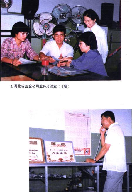 《湖北省商业简志(第四册)·五金商业志》.pdf电子版_湖北省志插图4