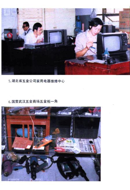 《湖北省商业简志(第四册)·五金商业志》.pdf电子版_湖北省志插图5