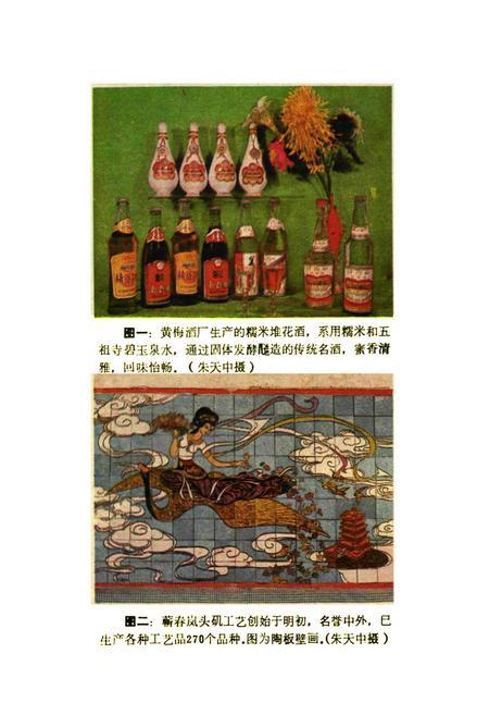 《鄂东名物风味辑览》.pdf电子版_湖北省志插图2