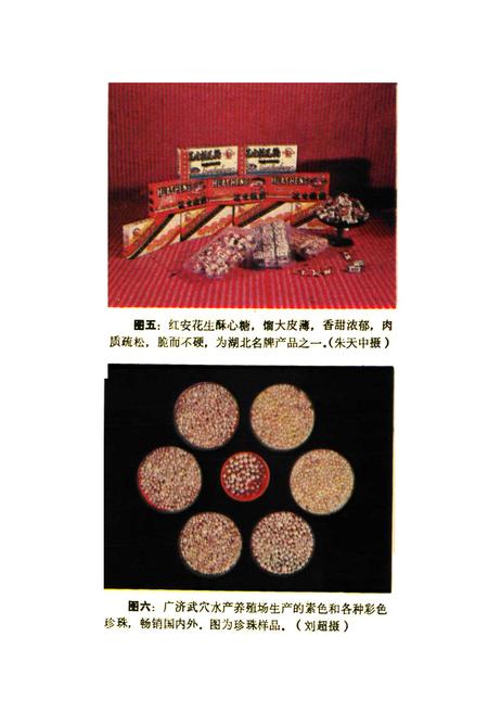 《鄂东名物风味辑览》.pdf电子版_湖北省志插图4