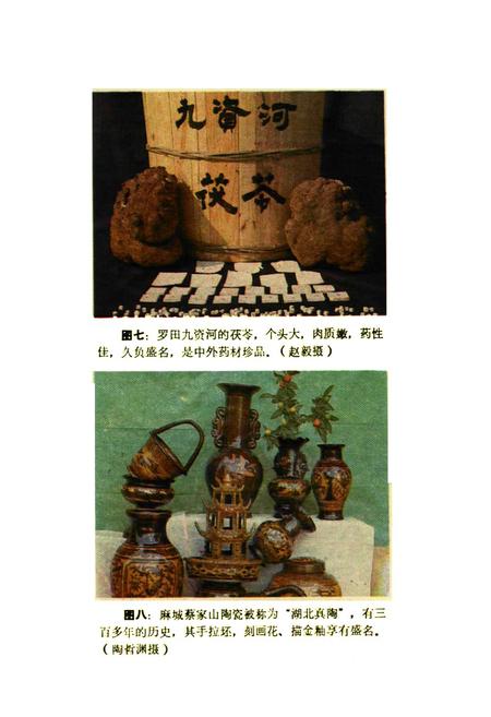 《鄂东名物风味辑览》.pdf电子版_湖北省志插图5
