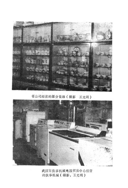 《湖北省供销合作社行业志·生活资料卷》.pdf电子版_湖北省志插图5
