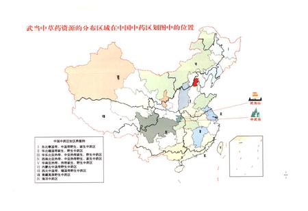 《《中国武当中草药志(第一卷)》》.pdf电子版_湖北省志插图2