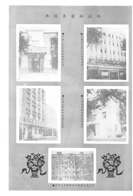 《《麻城县金融志》(1871-1985)》.pdf电子版_湖北省志插图3