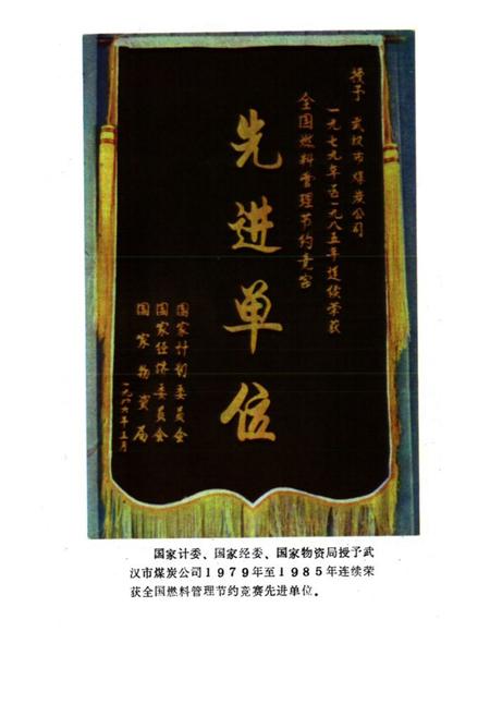 《武汉工业用煤志》.pdf电子版_湖北省志插图4