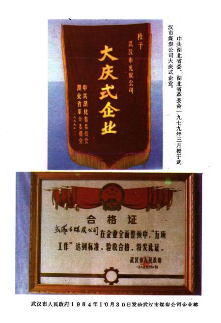 《武汉工业用煤志》.pdf电子版_湖北省志插图5