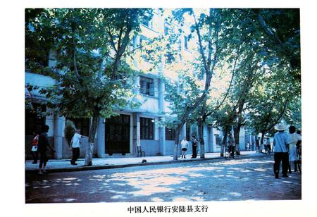 《《安陆县金融志》(1843-1985)》.pdf电子版_湖北省志插图3