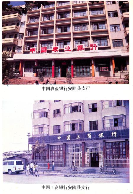 《《安陆县金融志》(1843-1985)》.pdf电子版_湖北省志插图4
